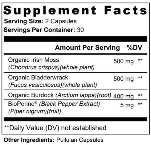 Total Body Support