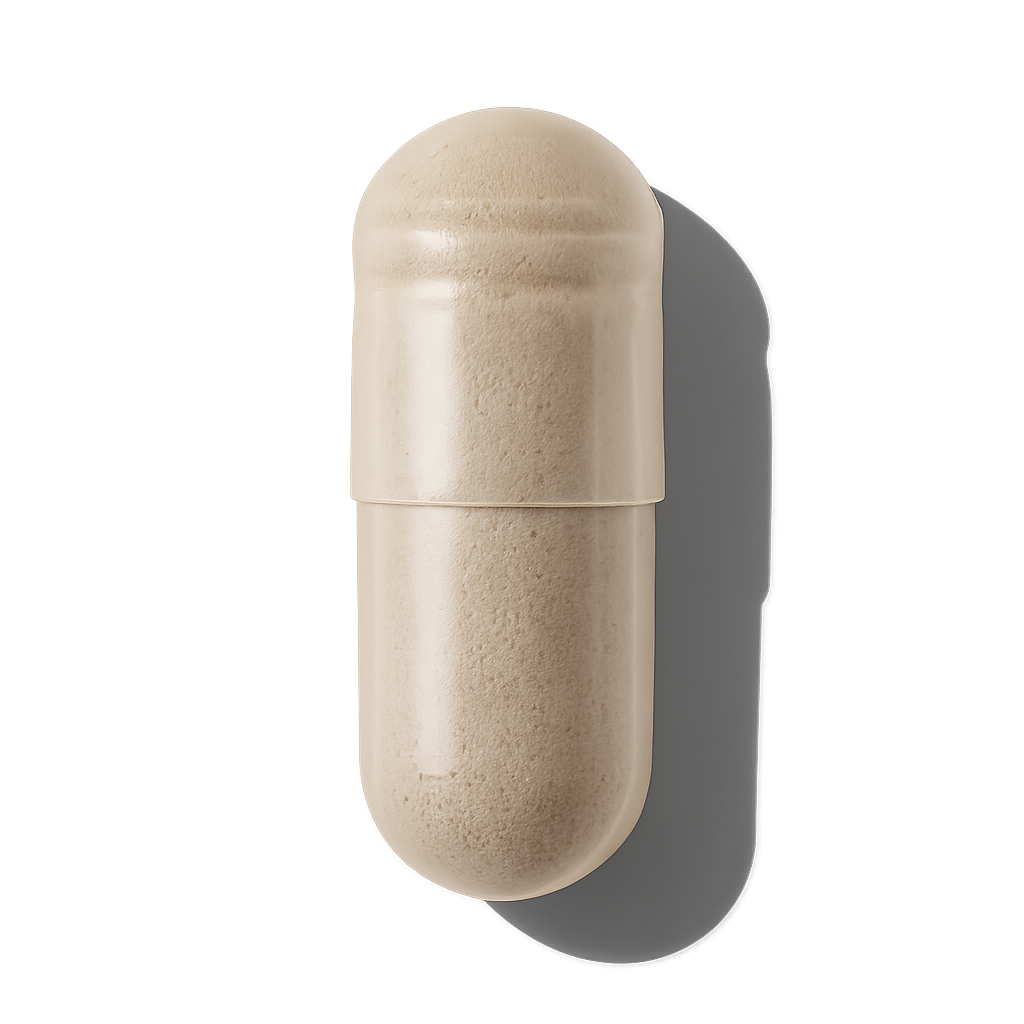 Total Body Support