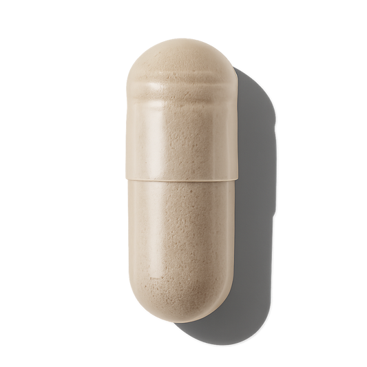 Total Body Support